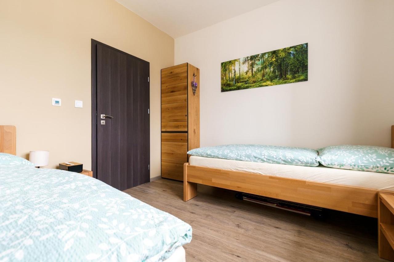 Apartmán Nela By Mountain Ways Loučná pod Klínovcem Exteriér fotografie